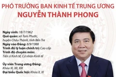[Infographics] Phó Trưởng Ban Kinh tế Trung ương Nguyễn Thành Phong