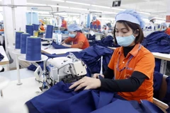 May hàng xuất khẩu sang thị trường Nhật Bản. (Ảnh: Trần Việt/TTXVN)