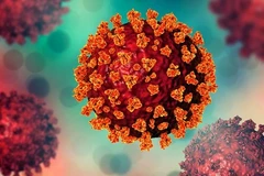 Ảnh minh họa. (Nguồn: The Conversation)