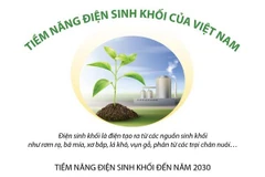 [Infographics] Tiềm năng nguồn điện sinh khối của Việt Nam