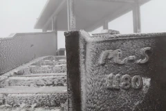 Băng tuyết trên đỉnh Mẫu Sơn ngày 8/1. (Ảnh: Quang Duy/TTXVN)