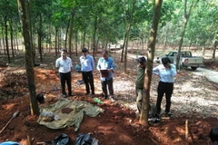 Đơn vị K72 đang cất bốc 6 bộ hài cốt tìm thấy trong ngày 29/3 tại khu rừng cao su thuộc ấp Măng Cải, xã Lộc Thiện, huyện biên giới Lộc Ninh, tỉnh Bình Phước. (Ảnh: TTXVN phát)