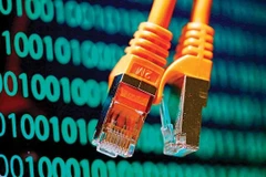 Ảnh minh họa. (Nguồn: Activist Post)