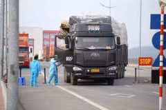 Cán bộ y tế tiến hành phun khử khuẩn buồng lái của xe nhập khẩu qua cầu Bắc Luân 2 - cửa khẩu quốc tế Móng Cái. (Ảnh: Minh Quyết/TTXVN)