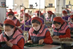 Công nhân ở Bình Nhưỡng sản xuất khẩu trang. (Nguồn: Getty Images) 