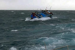 Quảng Ngãi: Kịp thời cứu sống 3 ngư dân bị chìm tàu trên biển
