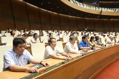 Các đại biểu Quốc hội biểu quyết thông qua Luật sửa đổi, bổ sung một số điều của Luật Phòng, chống thiên tai và Luật Đê điều. (Ảnh: Văn Điệp/TTXVN)