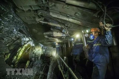 Công nhân làm việc dưới hầm than. (Nguồn: TTXVN)