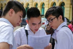 Ảnh minh họa. (Nguồn: Vietnam+)