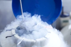 Ảnh minh họa. (Nguồn: Getty Images)