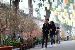 Đôi bạn du xuân trên phố bích họa Phùng Hưng, Hà Nội. (Ảnh: Nhật Anh/TTXVN)