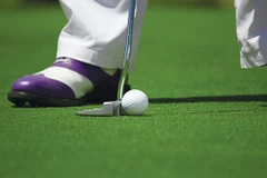 Ảnh minh họa. (Nguồn: Arizona Sports)