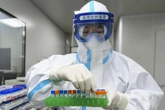 Một nhân viên y tế xử lý các mẫu xét nghiệm axit nucleic tại Phòng thí nghiệm y tế ở Trường Sa, Trung Quốc. (Nguồn: Getty Images)