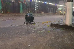 Mưa đá ở Ninh Bình. (Ảnh: Đức Phương/TTXVN)