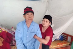 Một cái Tết đúng nghĩa với những bệnh nhân chạy thận giờ chỉ còn lại trong ký ức, tuy nhiên họ luôn lạc quan, nương tựa vào nhau để chiến đấu với bệnh tật. (Ảnh: Khiếu Tư/TTXVN)