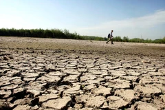 Các con sông ở Séc đã trở nên khô hạn. (Nguồn: praguemorning.cz)