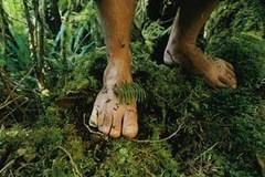 Chạy bộ chân không dọc châu Mỹ làm từ thiện