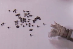 Hà Nội: Phạt tù nhóm côn đồ giải quyết mâu thuẫn bằng súng