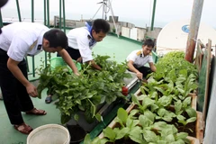 Hội Chữ thập Đỏ thăm chiến sỹ, nhân dân tại Trường Sa