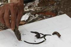 (Ảnh minh họa: Phương Vy/TTXVN)