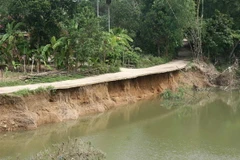 (Ảnh minh họa: Hồ Cầu/TTXVN)