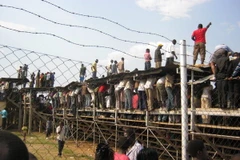 Zimbabwe: Giẫm đạp tại lễ hội tôn giáo khiến 51 người thương vong 