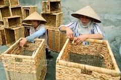  Độc đáo làng nghề truyền thống đan guột Lưu Thượng