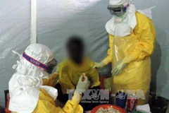 Điều trị cho bệnh nhân nhiễm virus Ebola. (Nguồn:TTXVN))