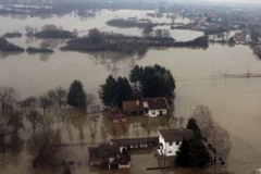 Ảnh minh họa. (Nguồn:http://dalje.com)