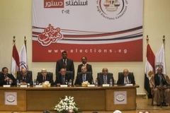 Ảnh minh họa. (Nguồn: AFP-TTXVN)