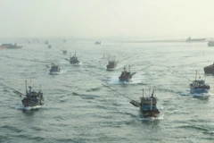 Ảnh minh họa. (Nguồn: TTXVN)