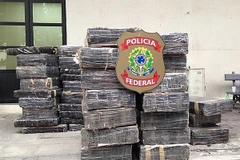 Brazil tịch thu 8 tấn cần sa được tuồn vào từ Paraguay