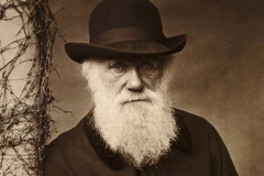 Các nhà khoa học đã tìm ra lời giải cho “thế lưỡng nan của Darwin”?