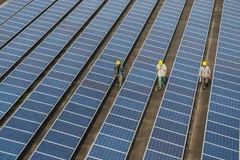 Ảnh minh họa. (Nguồn: THX-TTXVN)