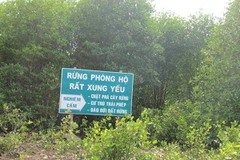 Tây Ninh sẽ di đời trên 1.000 hộ dân ra khỏi đất lâm nghiệp