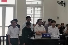 Quang cảnh vụ xét xử. (Ảnh: Kim Anh/Vietnam+)