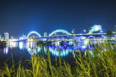 Cầu Rồng, thành phố Đà Nẵng. (Ảnh: Trọng Đạt/TTXVN)