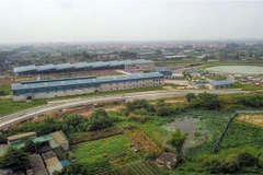 (Ảnh minh họa: Thành Đạt/TTXVN)