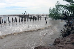 (Ảnh minh họa: Lê Huy Hải/TTXVN)