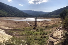 (Ảnh minh họa: Nguyên Linh/TTXVN)