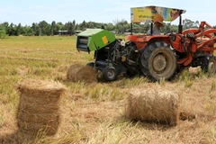 Máy thu gom rơm trên đồng. (Ảnh: Hồ Cầu/TTXVN)