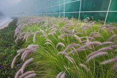 (Nguồn: asergeev.com)