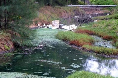 (Ảnh minh họa: Công Tường/TTXVN)