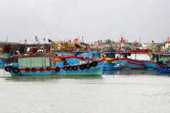 Hơn 100 tàu thuyền neo đậu tại khu tránh trú bão Nhật Lệ. (Ảnh: Văn Tý/TTXVN)