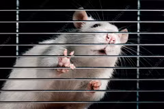 (Nguồn: sciencephoto.com)