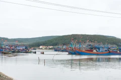 Nhiều tàu thuyền neo đậu an toàn tại cảng cá Lạch Quèn, xã Quỳnh Thuận, huyện Quỳnh Lưu, Nghệ An. (Ảnh: Nguyễn Oanh/TTXVN)