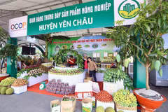 Gian trưng bày sản phẩm OCOP của Sơn La tại Festival trái cây và sản phẩm OCOP năm 2022. (Ảnh: Quang Quyết-TTXVN)