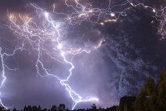 Ảnh minh họa. (Nguồn: doisongphapluat.com)