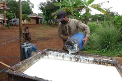 Điểm thu mua mủ cao su tại xã Đức Hạnh, huyện Bù Gia Mập, Bình Phước. (Ảnh: K GỬIH/TTXVN)