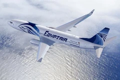 Một máy bay của hãng hàng không EgyptAir. (Nguồn: File)